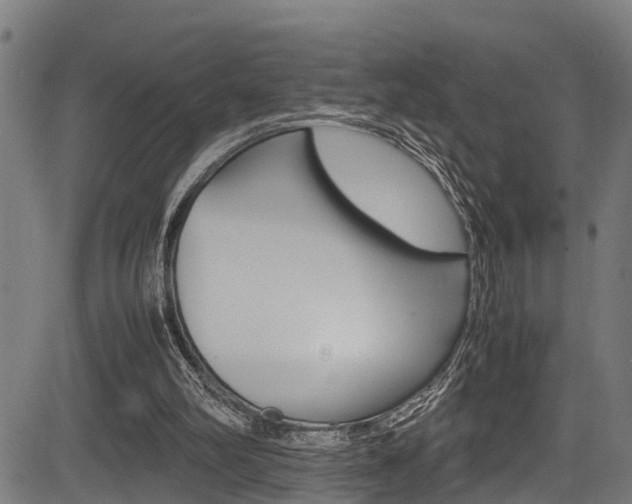 X0000083660102200702120850