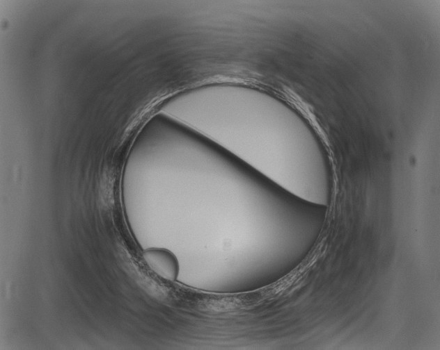 X0000083660106200702120850