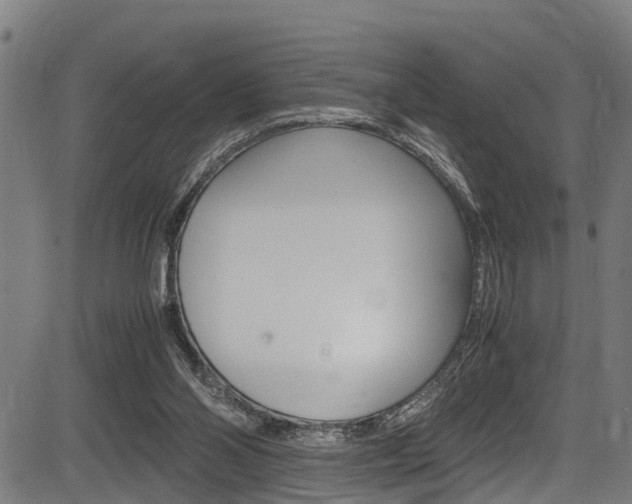 X0000083660110200702120849