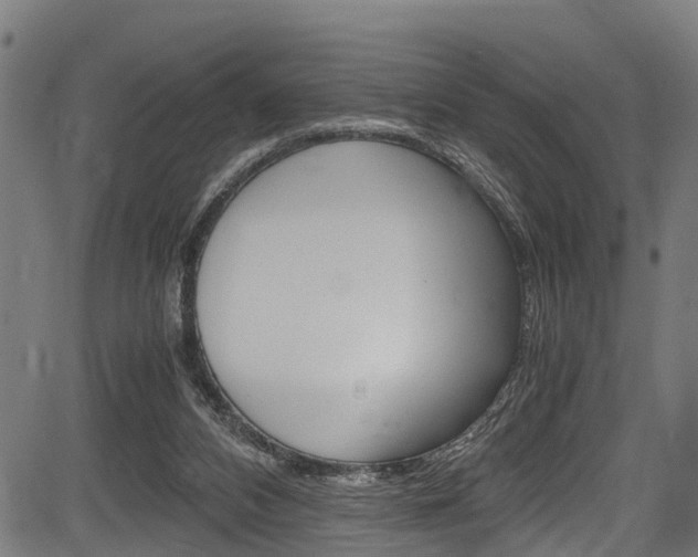 X0000083660112200702120849