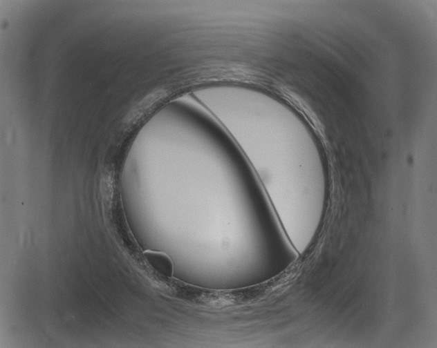 X0000083660113200702120849