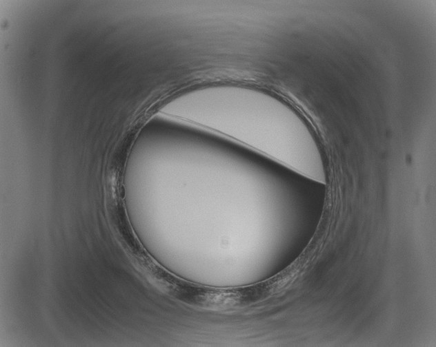 X0000083660117200702120849