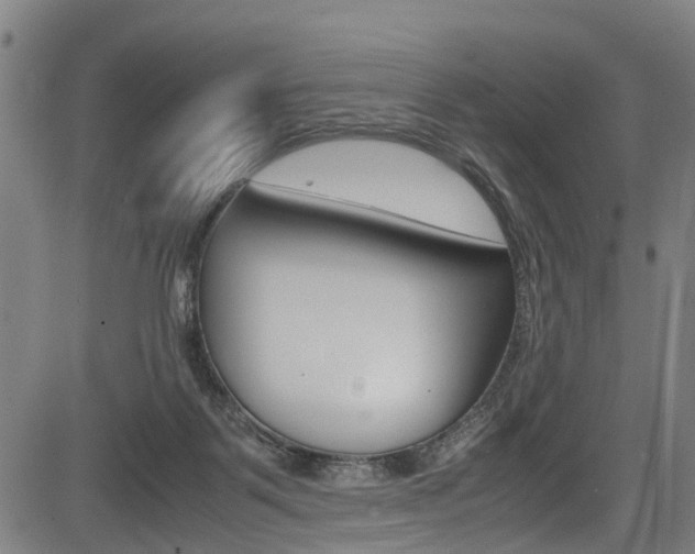 X0000083660123200702120849
