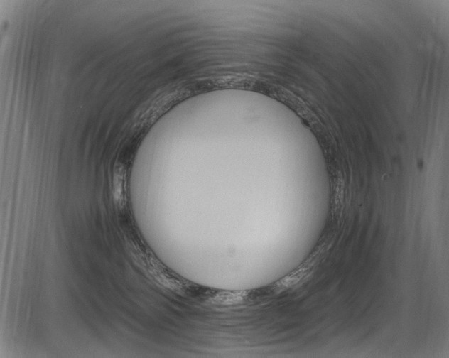 X0000083660138200702120849