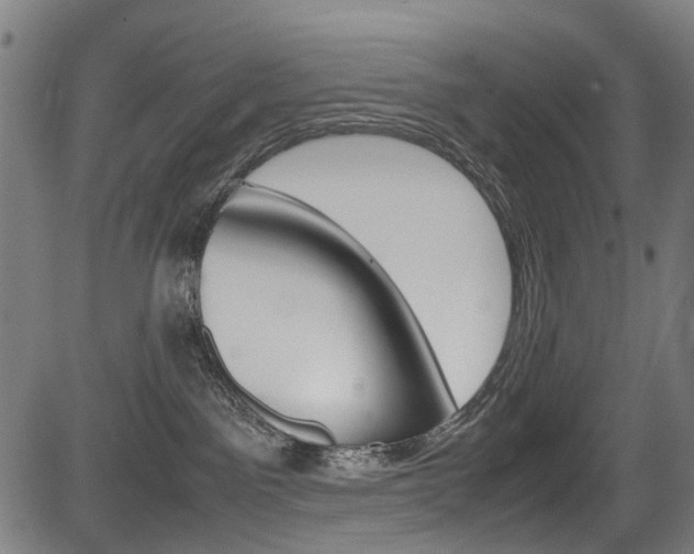 X0000083660141200702120849