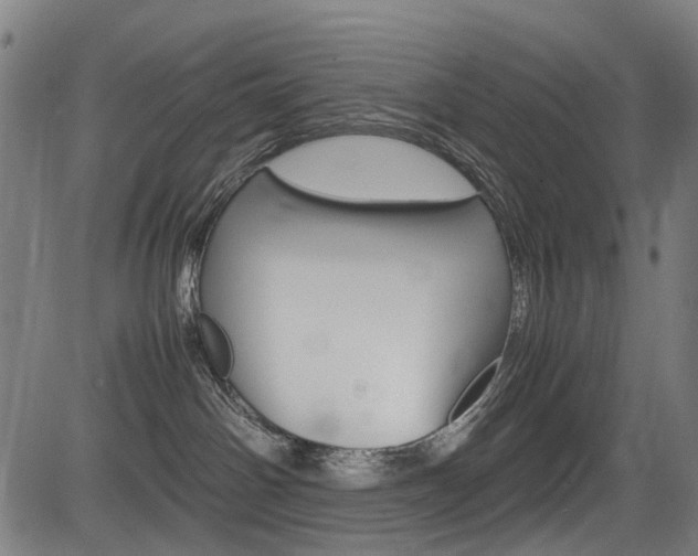 X0000083660142200702120849