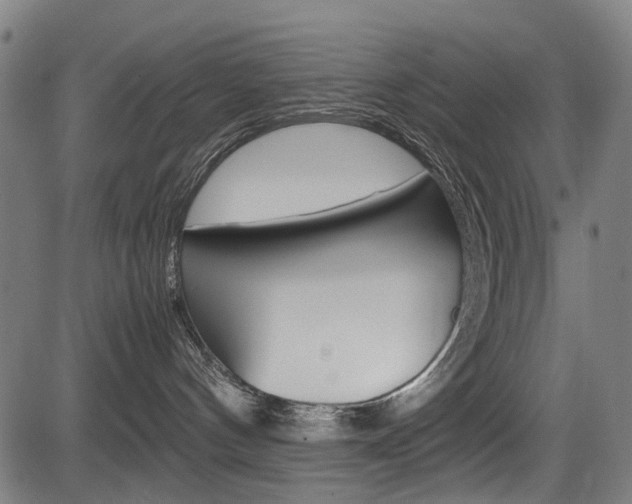 X0000083660144200702120849
