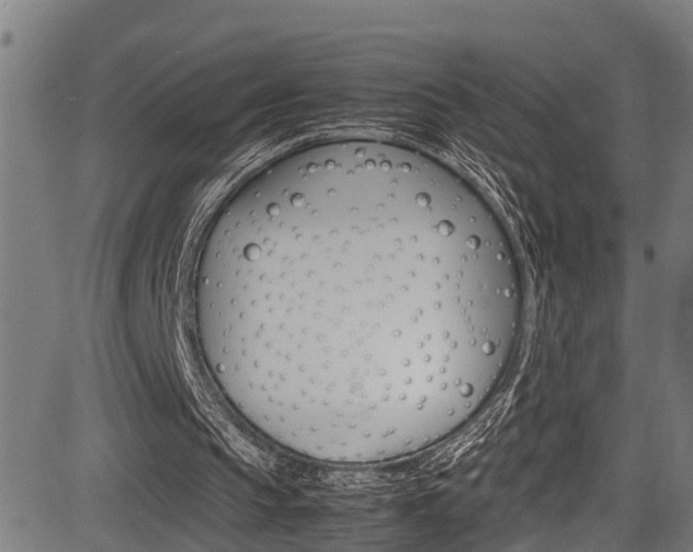 X0000083660145200702120848