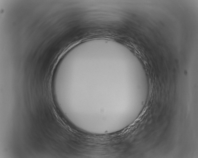 X0000083660146200702120848