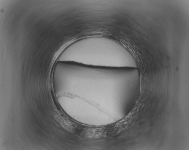X0000083660147200702120848