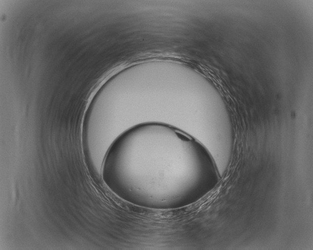 X0000083660148200702120848