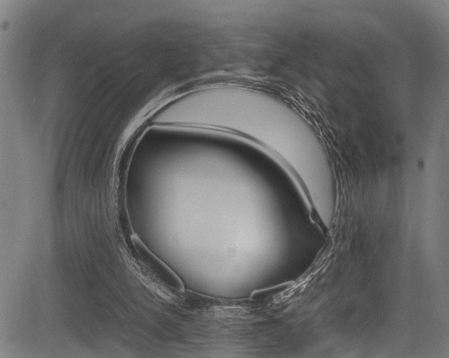 X0000083660150200702120848