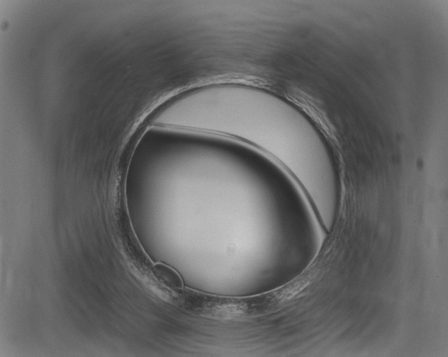 X0000083660156200702120848