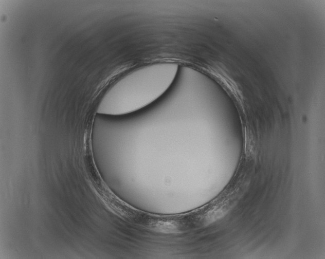 X0000083660157200702120848