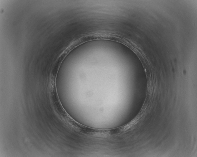 X0000083660168200702120848