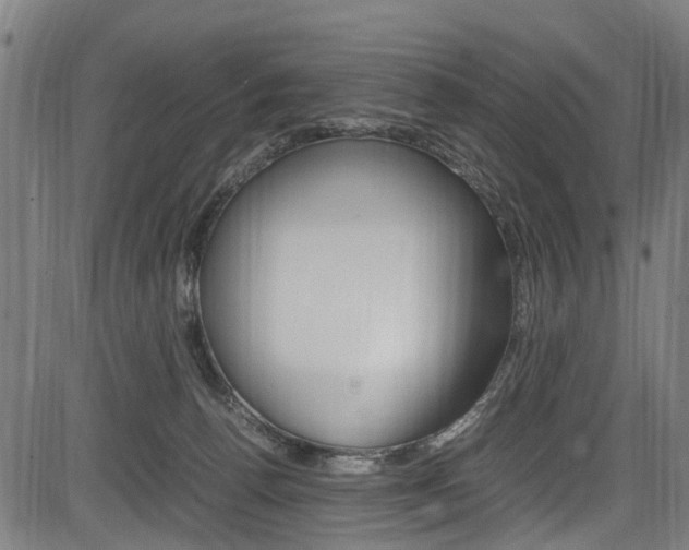 X0000083660176200702120849