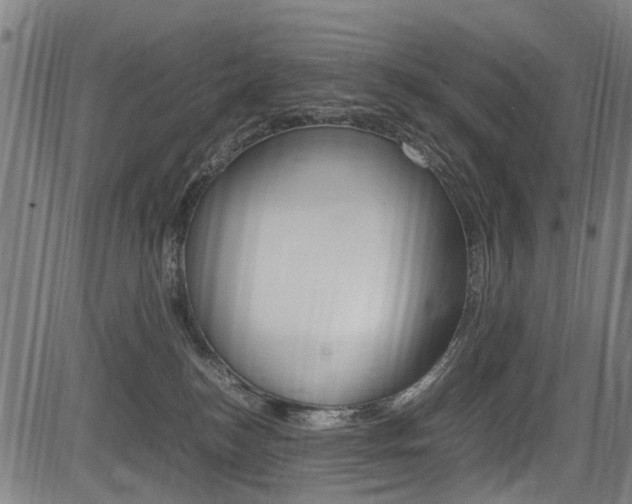 X0000083660184200702120849