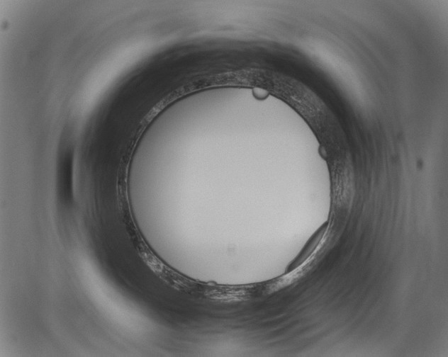 X0000083660191200702120849