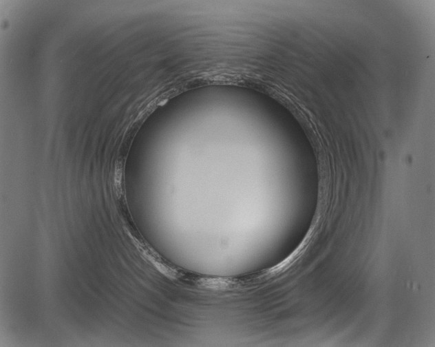X0000083660192200702120849