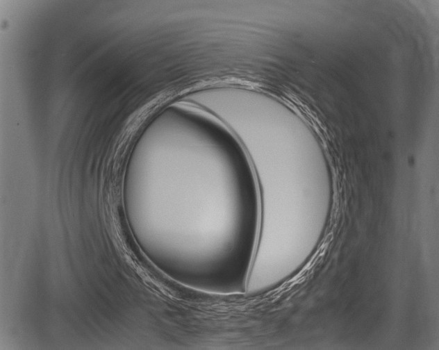 X0000083660193200702120848
