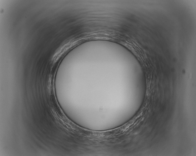 X0000083660194200702120848