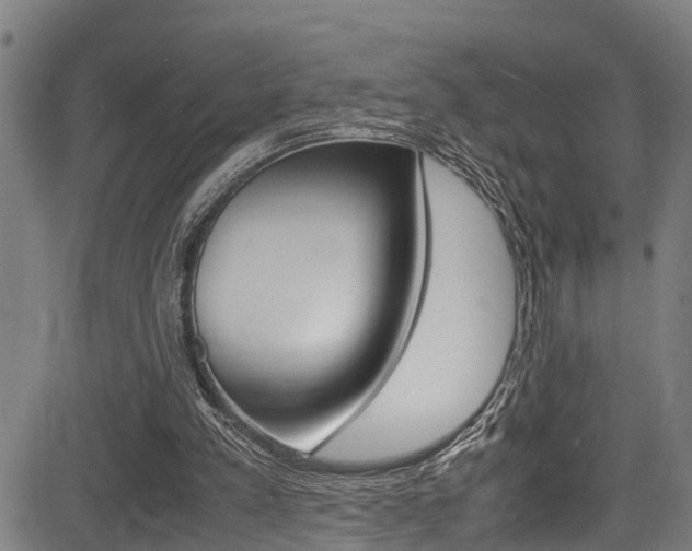 X0000083660197200702120848