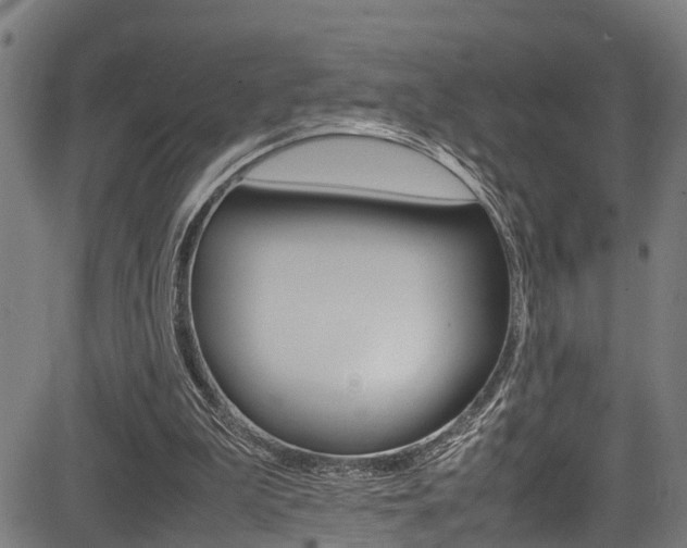 X0000083660199200702120848