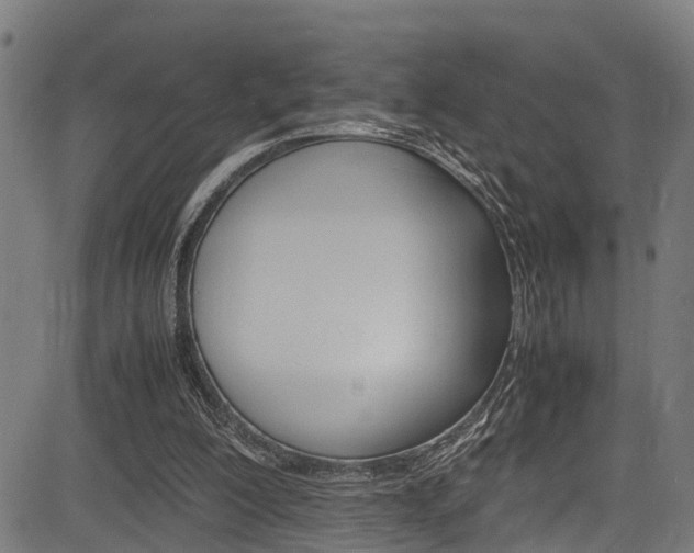 X0000083660200200702120848