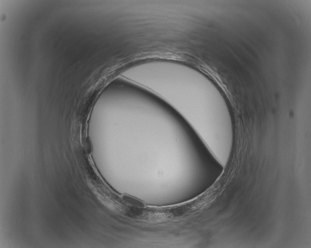 X0000083660205200702120848