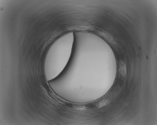 X0000083660206200702120848