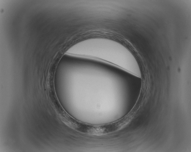 X0000083660217200702120848
