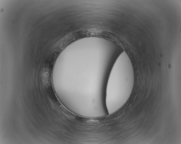 X0000083660222200702120848