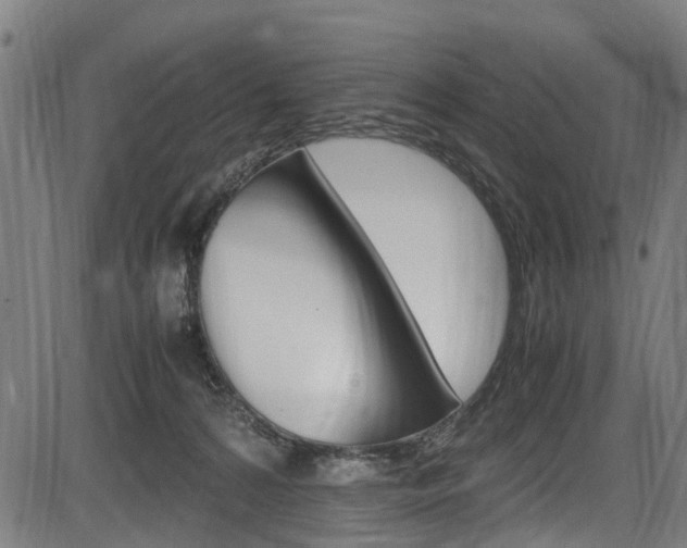 X0000083660224200702120848