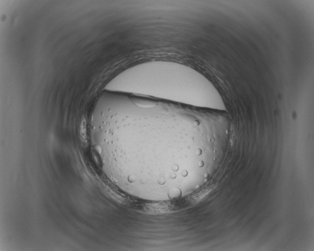 X0000083660238200702120847