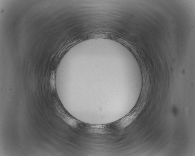 X0000083660240200702120847