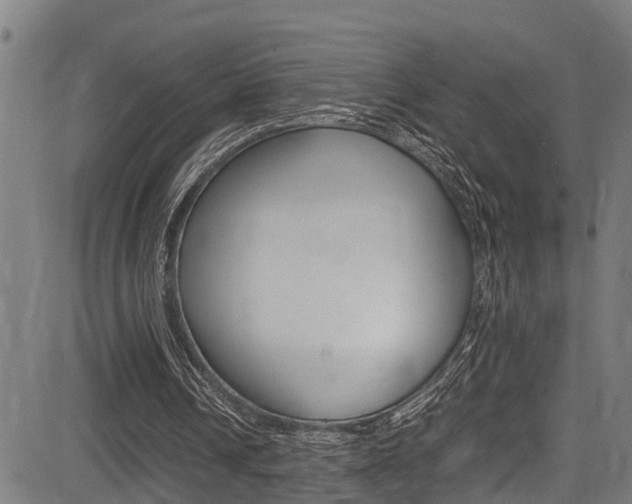 X0000083660242200702120847