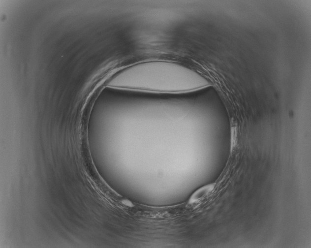 X0000083660243200702120847