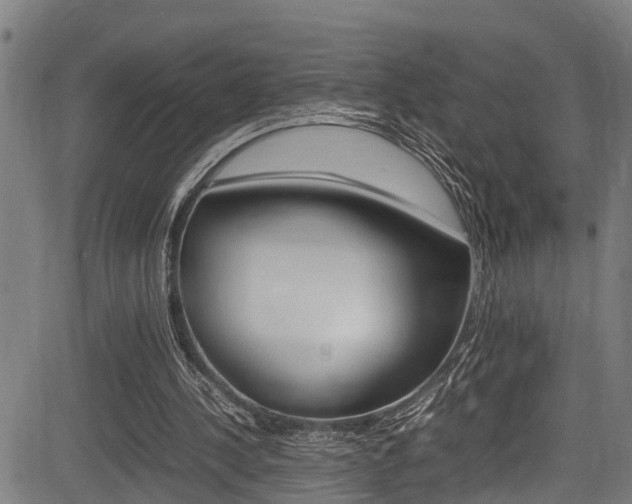 X0000083660244200702120847
