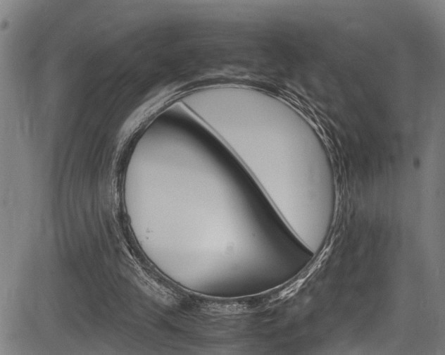 X0000083660245200702120847