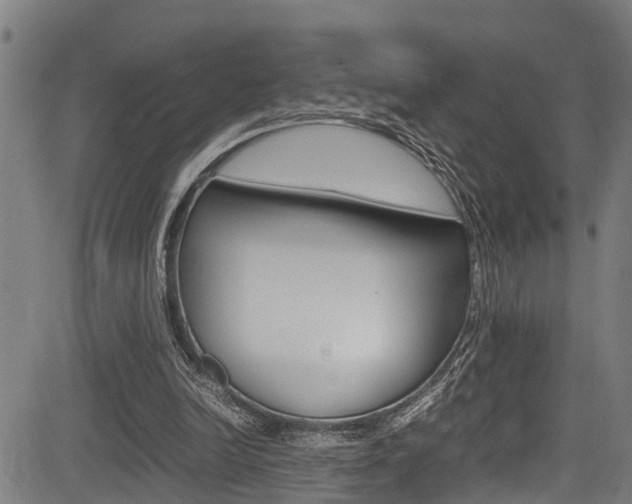 X0000083660246200702120847