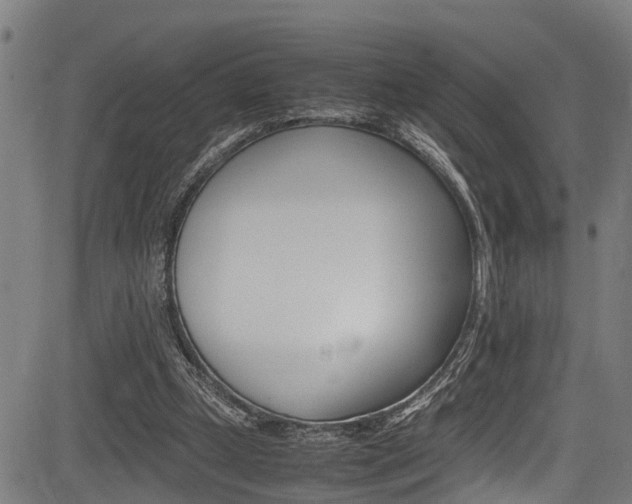 X0000083660249200702120847