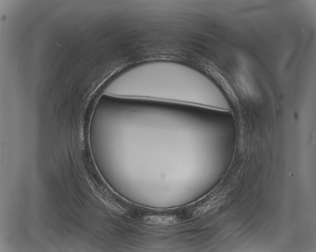 X0000083660251200702120847