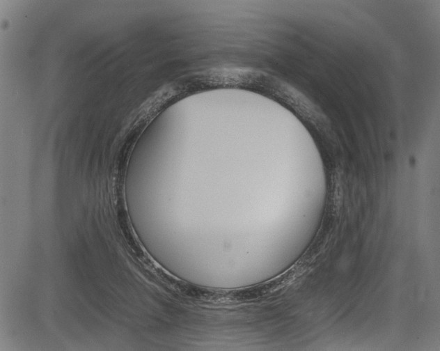 X0000083660258200702120847