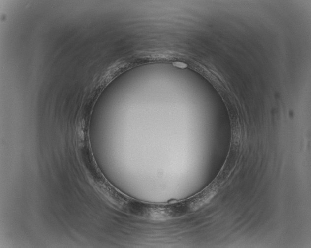 X0000083660264200702120847