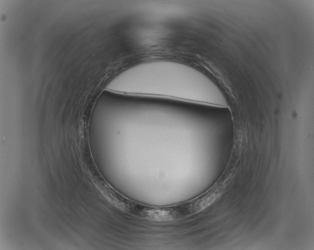 X0000083660265200702120847