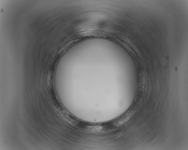 X0000083660266200702120847