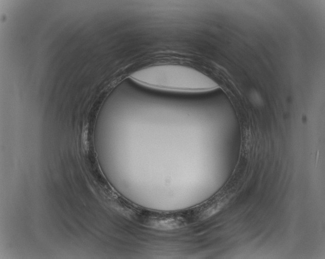 X0000083660267200702120847