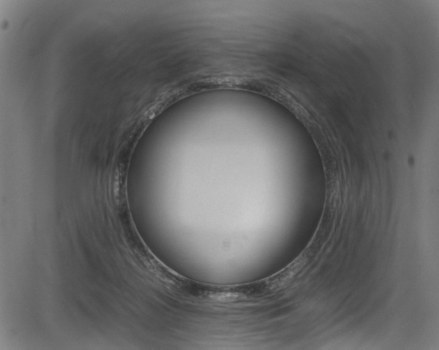 X0000083660268200702120847