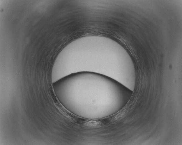 X0000083660269200702120847