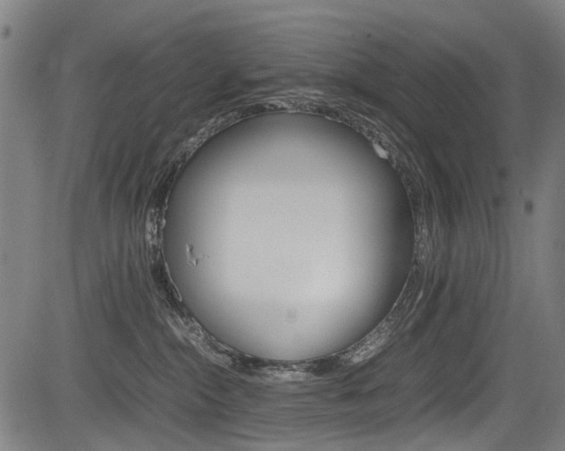 X0000083660284200702120847